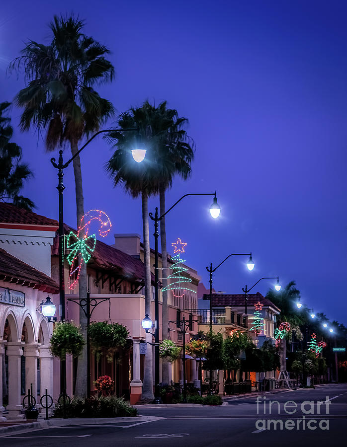 Christmas on Venice Avenue 2 #1 Photograph by Liesl Walsh