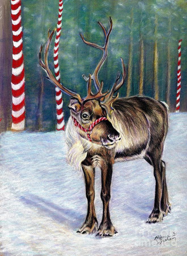 Christmas Reindeer- Drawing by Rebecca Graham - Fine Art America