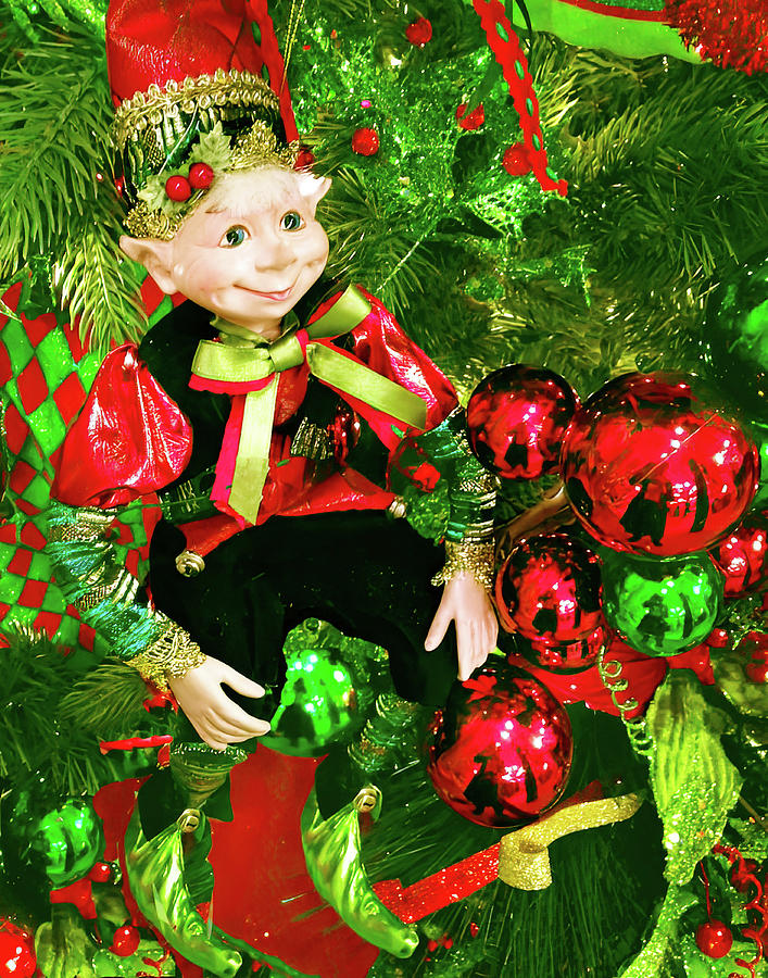 Christmas Tree Elf #1 Digital Art by George Harth