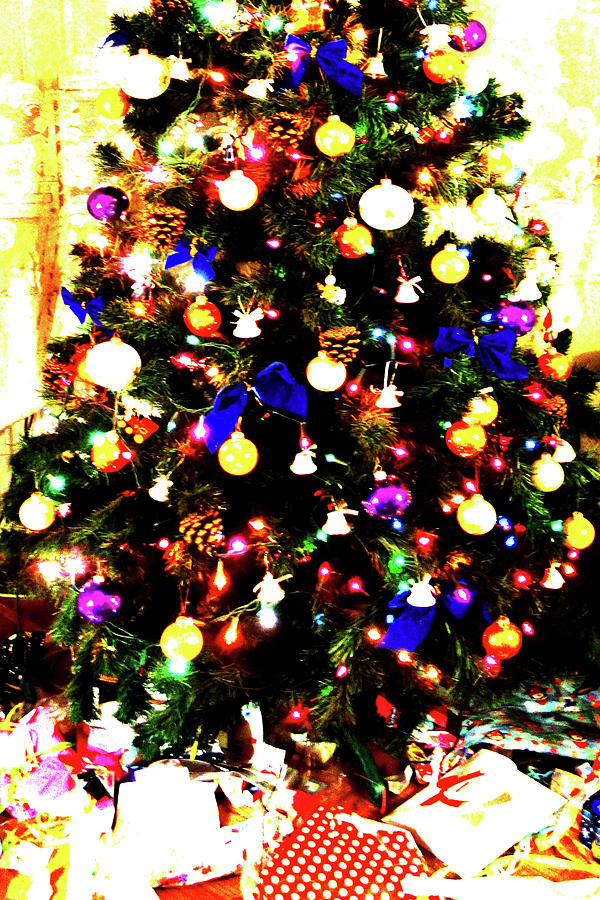 Christmas Tree #1 Photograph by John Siest