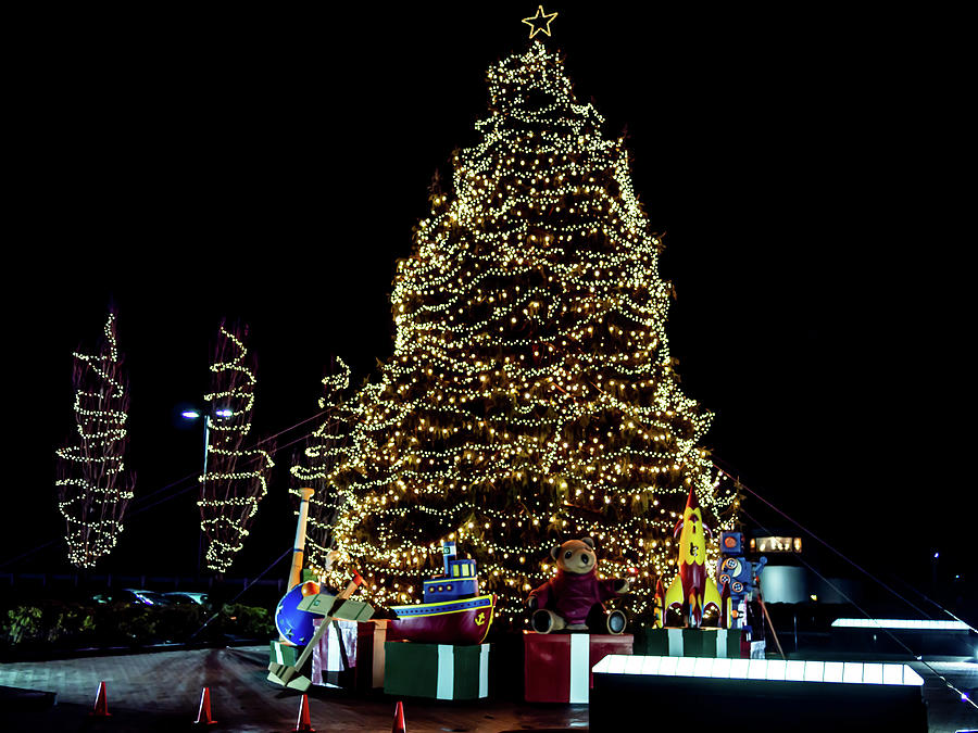 Christmas Tree Photograph by Louis Dallara