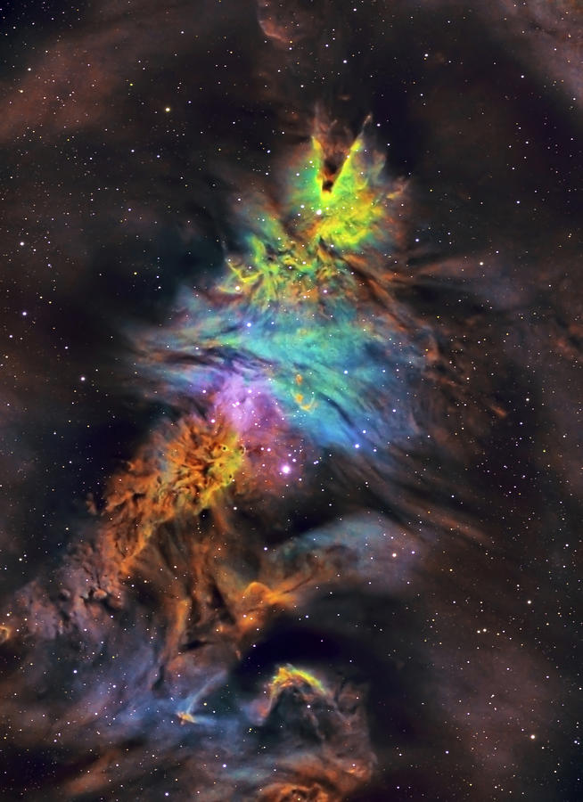 Christmas tree nebula ngc 2264 photograph by stagefright astrophotos