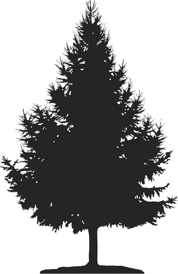 Christmas tree, Vector #1 Drawing by Dra_schwartz