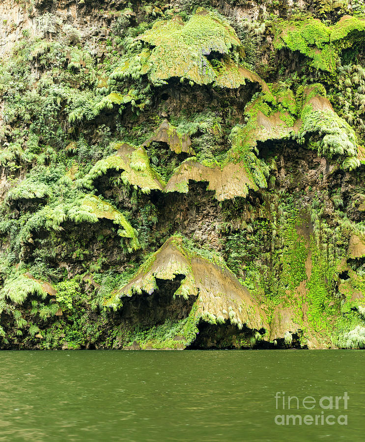 Christmas Tree Waterfall In The Sumidero Canyon Photograph