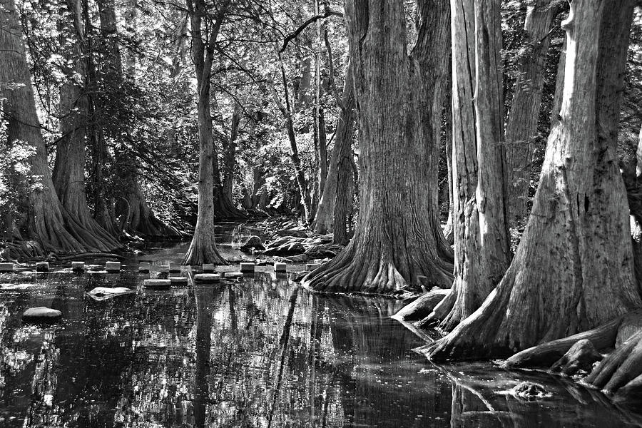 Cibolo Creek #1 Photograph by Ben Prepelka