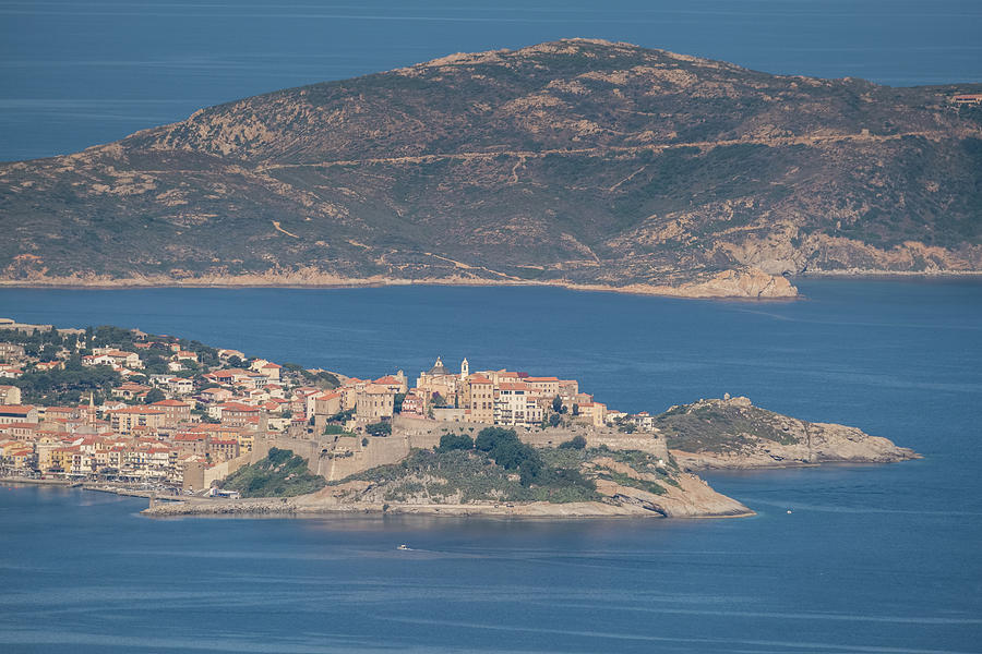 Citadel Of Calvi In Corsica Photograph