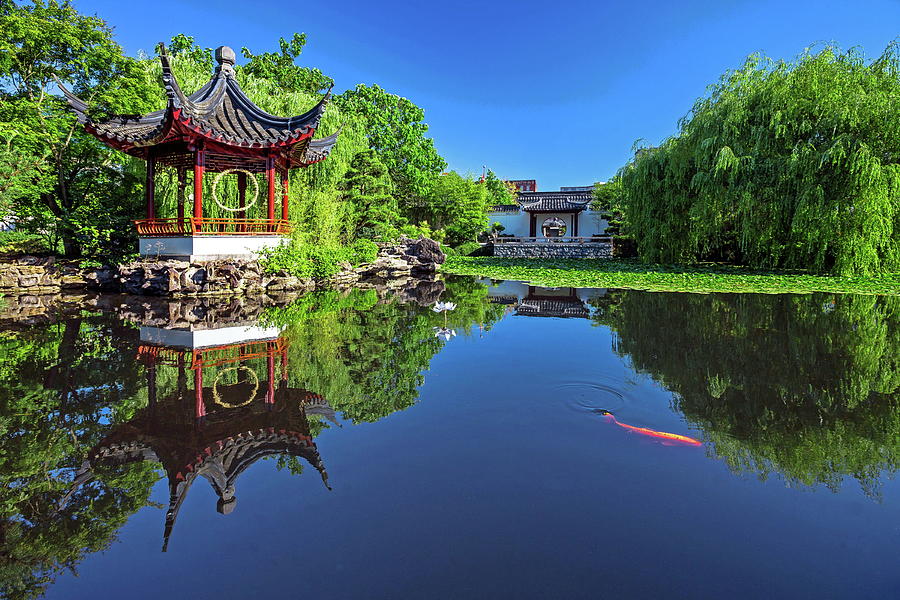 Classical Chinese Garden  Photograph by Alex Lyubar