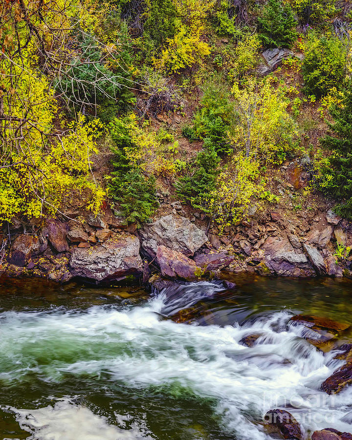 Clear Creek Rapids #1 Photograph by Jon Burch Photography
