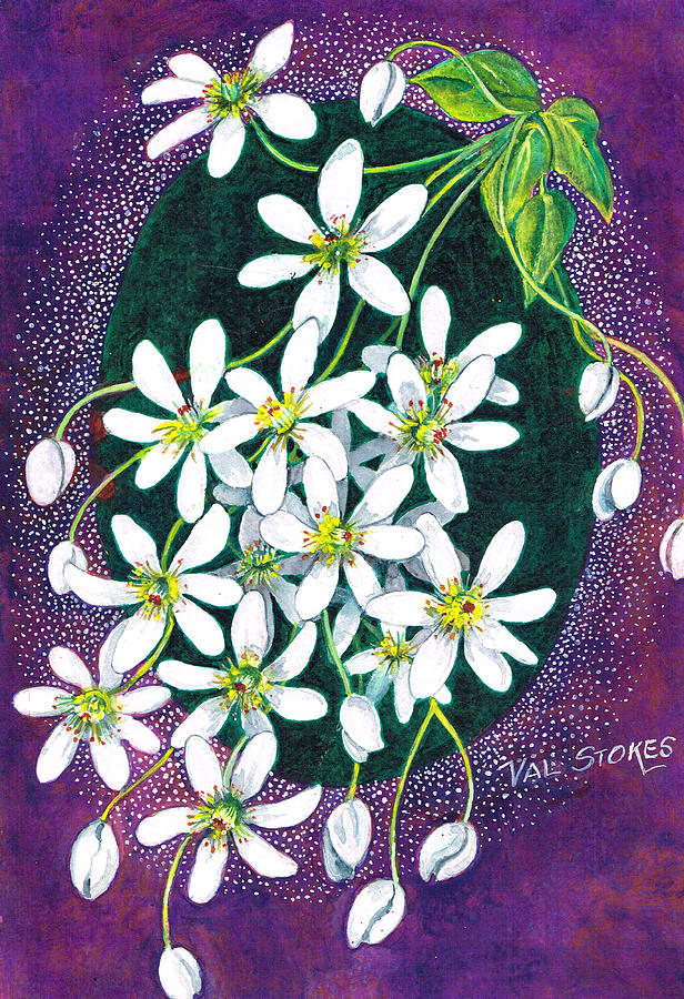 Clematis  #1 Painting by Val Stokes