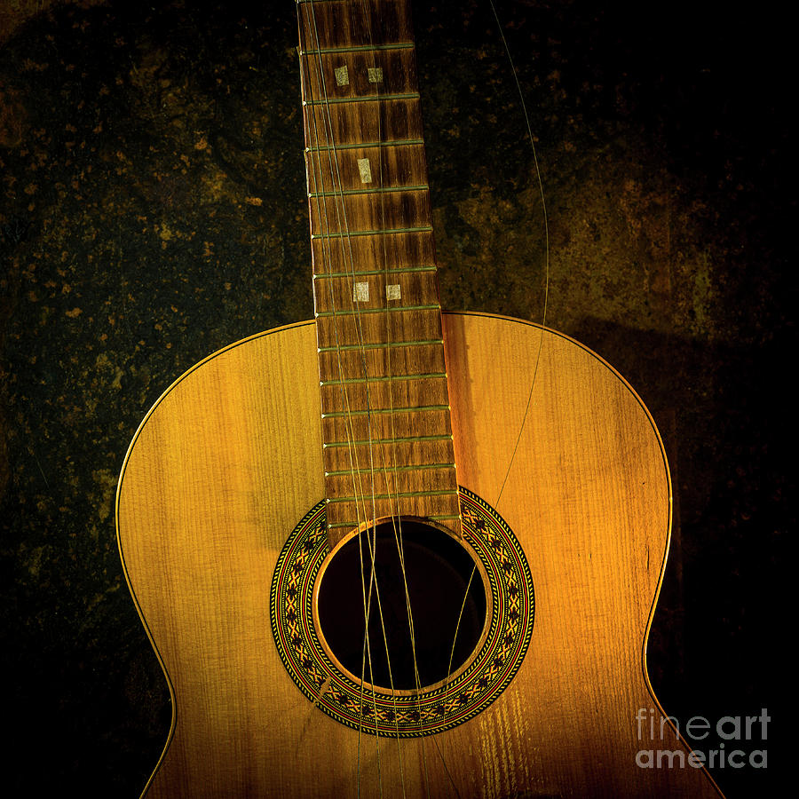 Still Life Photograph - Close uo of classical guitar with broken strings on a brown background #1 by Bernard Jaubert