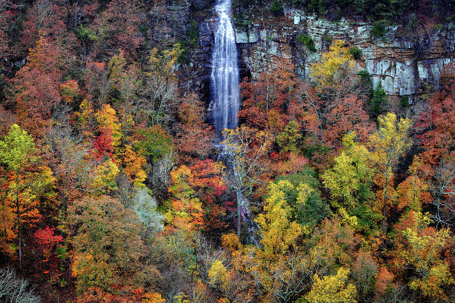Cloudland Falls in the Fall #1 Photograph by George Taylor