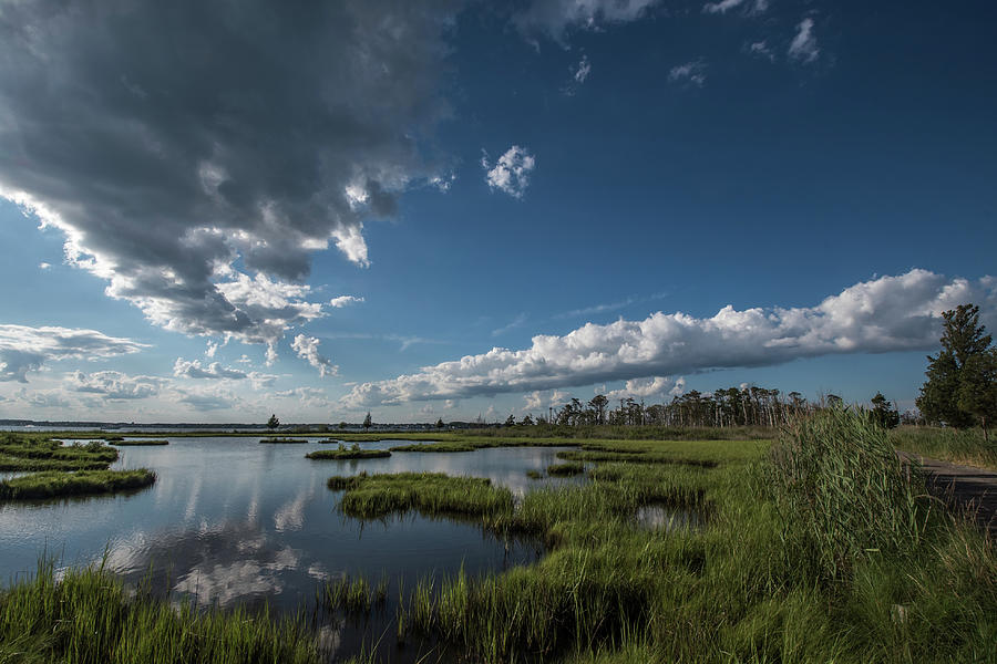 Clouds of Cattus Island Photograph by Bob Cuthbert - Fine Art America