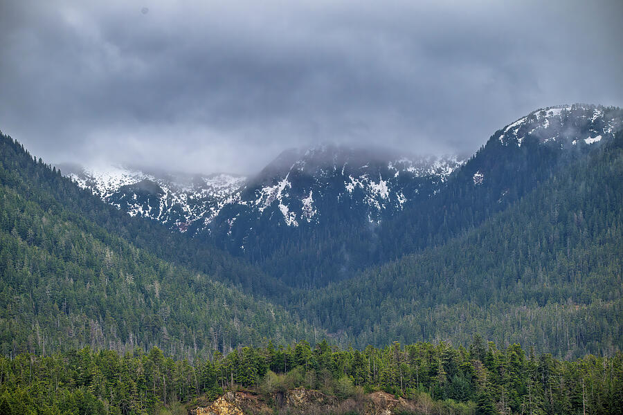 Cloudy Mountain Forest #1 Photograph by Bill Posner Cloudy Mountain Forest #1 Photograph by Bill Posner