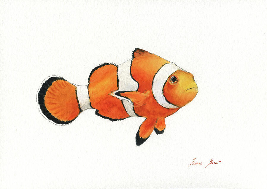 Clown fish #1 Painting by Juan Bosco