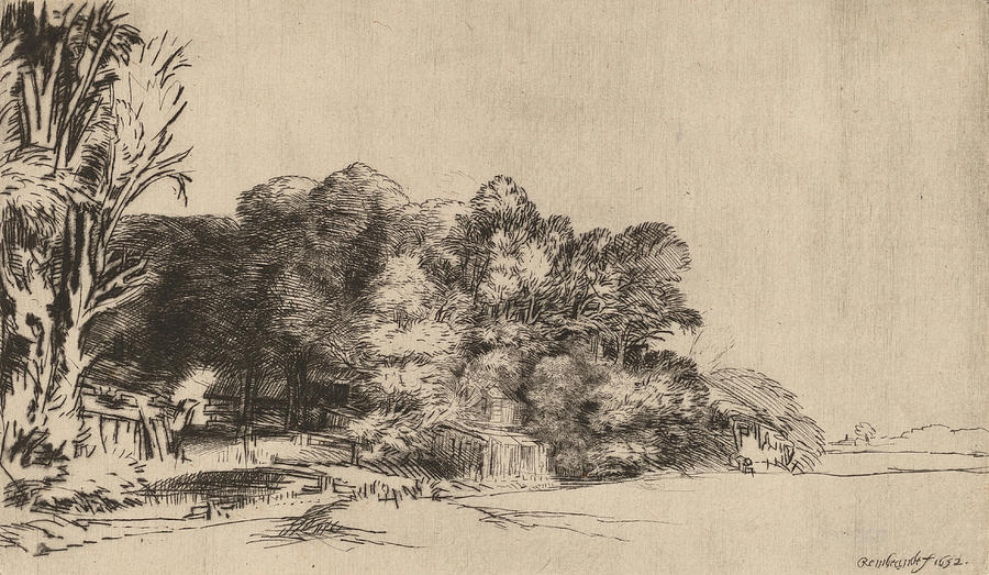 Clump of Trees with a Vista Drawing by Rembrandt van Rijn - Pixels