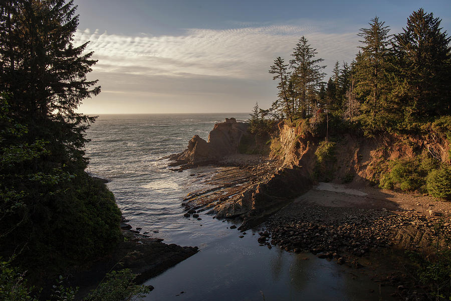 Sunset on Oregon Coast Photograph by Cliff Wassmann