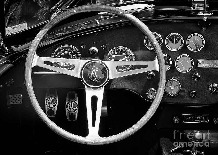 Cobra Dash Photograph By Dennis Hedberg - Fine Art America