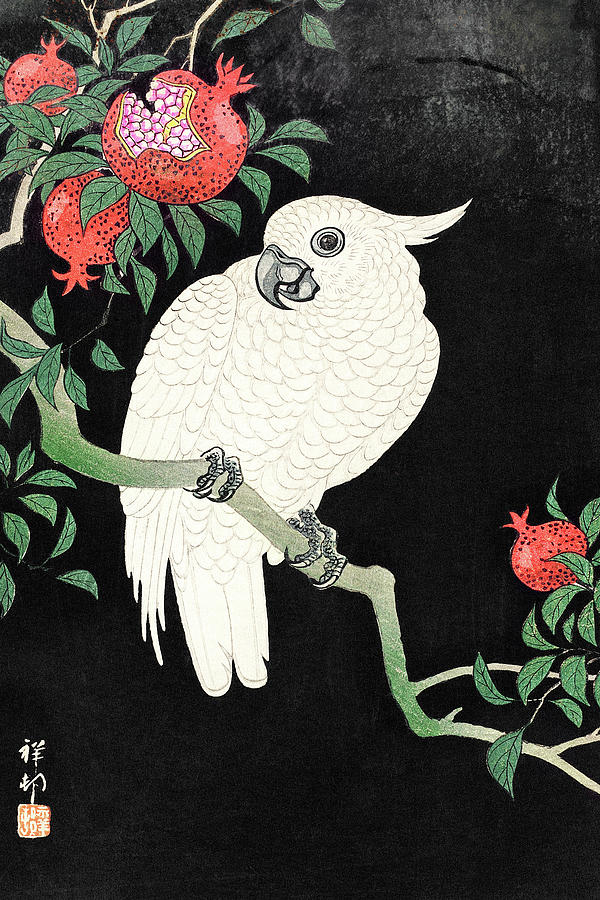 Ohara Koson Painting - Cockatoo and Pomegranate #2 by Ohara Koson