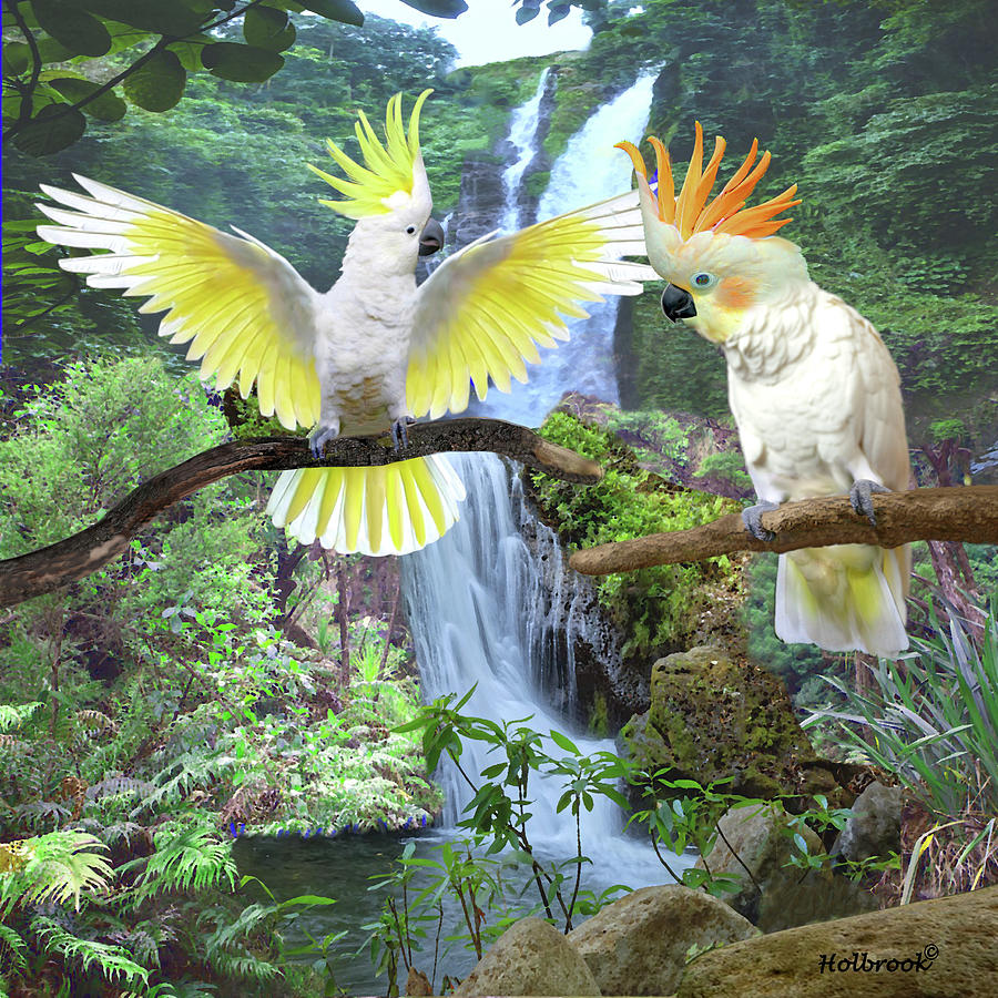 Cockatoo Courtship #1 Digital Art by Glenn Holbrook