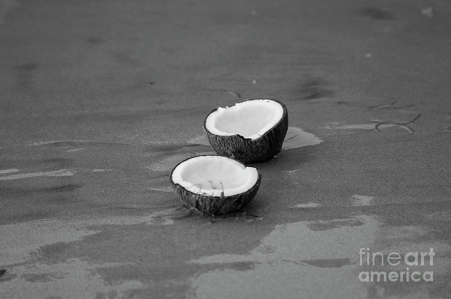 Coconut #1 Photograph by Konstantin Sevostyanov