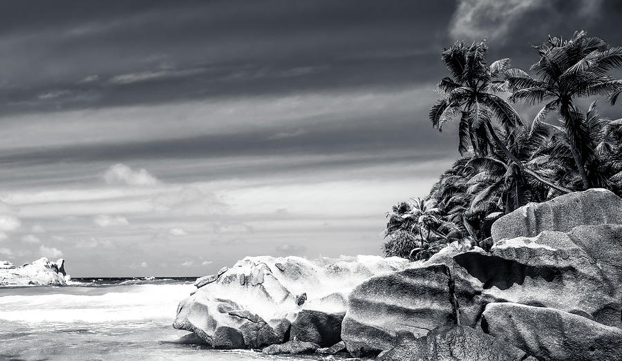 Coconut trees and rocks in the Seychelles #1 Photograph by Jean-Luc Farges