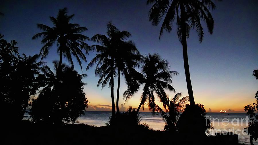 Coconut trees at sunset #1 Photograph by On da Raks