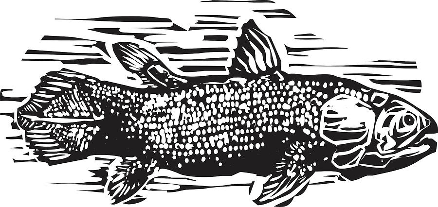 Coelacanth #1 Drawing by Jeffrey Thompson