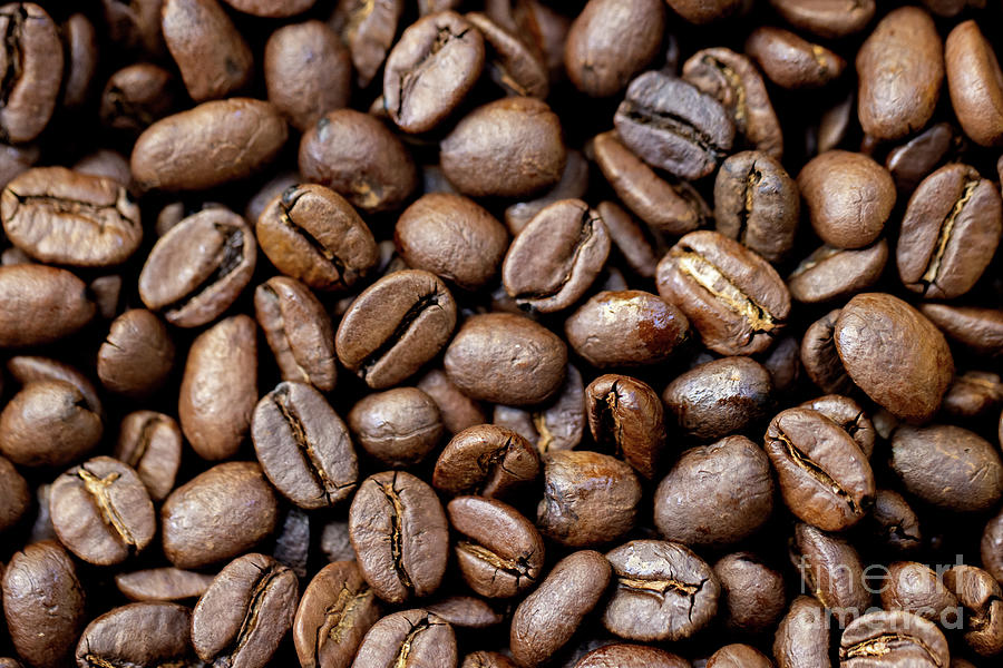 Coffee Beans #1 Photograph by Vivian Krug Cotton