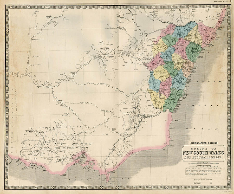 Colony of New South Wales and Australia Felix Edinburgh Painting by W A ...