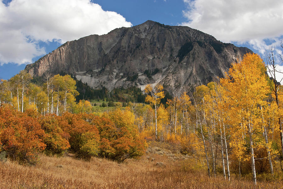 Colorado Autumn Perfection #1 Photograph by Cascade Colors