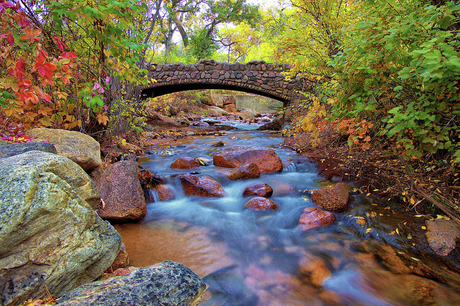 Colorado Fall Colors #1 Photograph by Bob Falcone