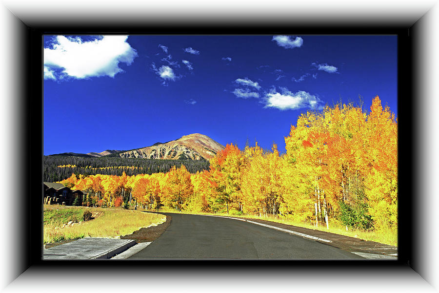 Colorado Golden Aspens #1 Photograph by Richard Risely