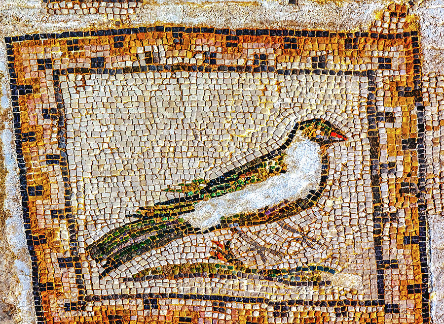 Colorful Ancient Bird Mosaic Italica Roman City Seville Andalusi 