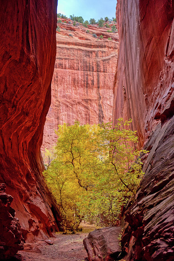 Nature Photograph - Colorful Canyon #1 by Paul Freidlund