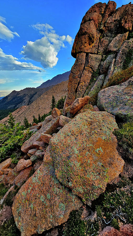 Colorful Lichens at Double Cut #1 Photograph by Ray Mathis