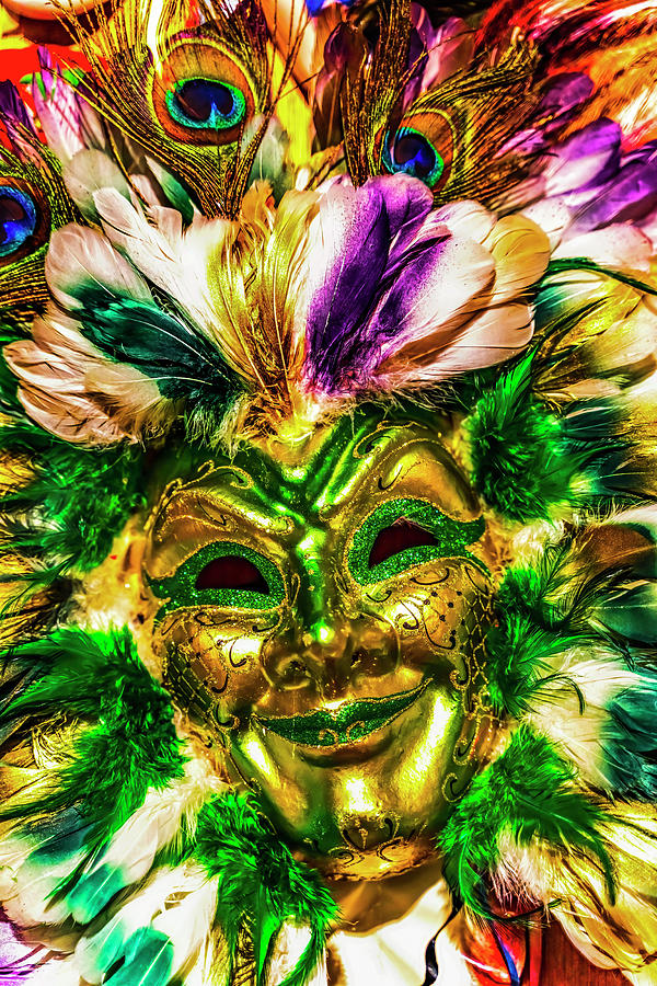 Colorful Mask Feathers Mardi Gras New Orleans Louisiana Photograph by ...