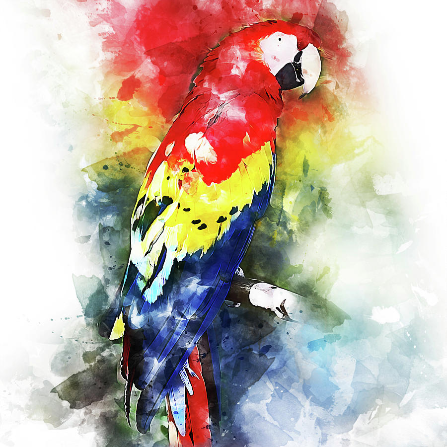 Colorful Parrot - 26 #1 Painting by AM FineArtPrints