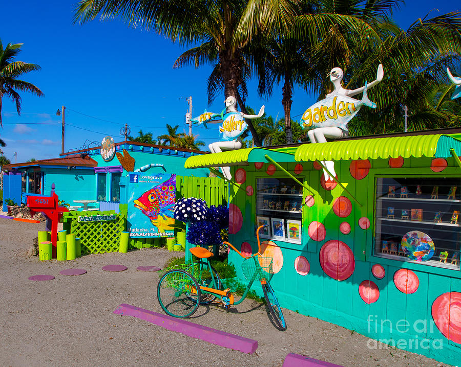 Colorful Pine Island Florida #1 Photograph by L Bosco