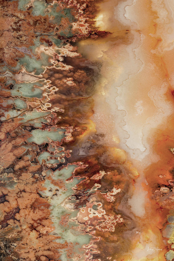 Colorful Plume Agate #2 Photograph by Leland D Howard