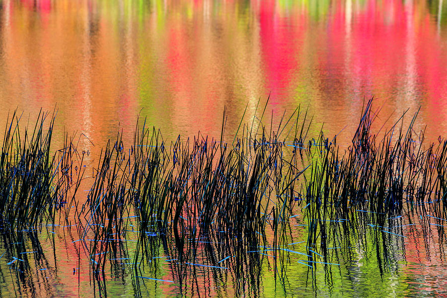 Colorful reflections in the water in the Fall #1 Photograph by Dan Friend