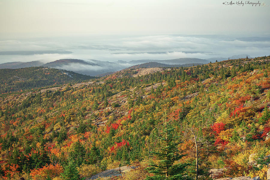 Colors Of Acadia Photograph