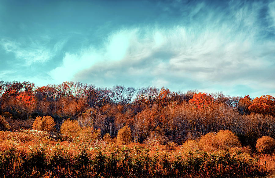 Colors of Autumn landscape Photograph by Lilia S