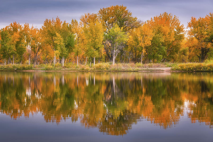 Colors of Chatfield  Photograph by Darren White