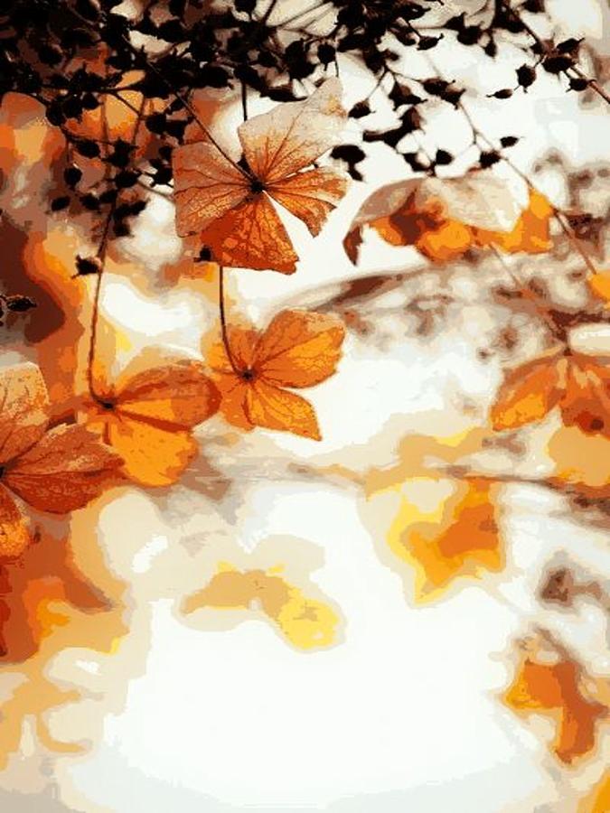 Colors Of Fall #1 Digital Art by J Richey