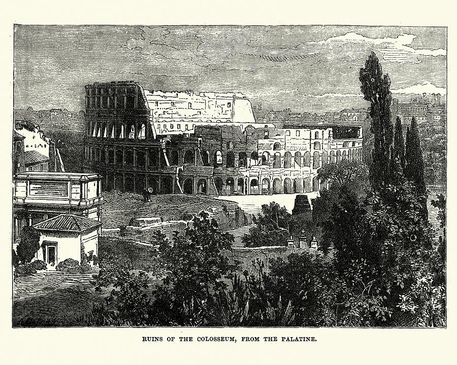 Colosseum, Rome #1 Drawing by Duncan1890