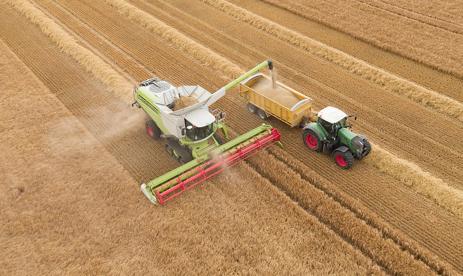 Combine Harvesting Crop #1 Photograph by Richard Newstead