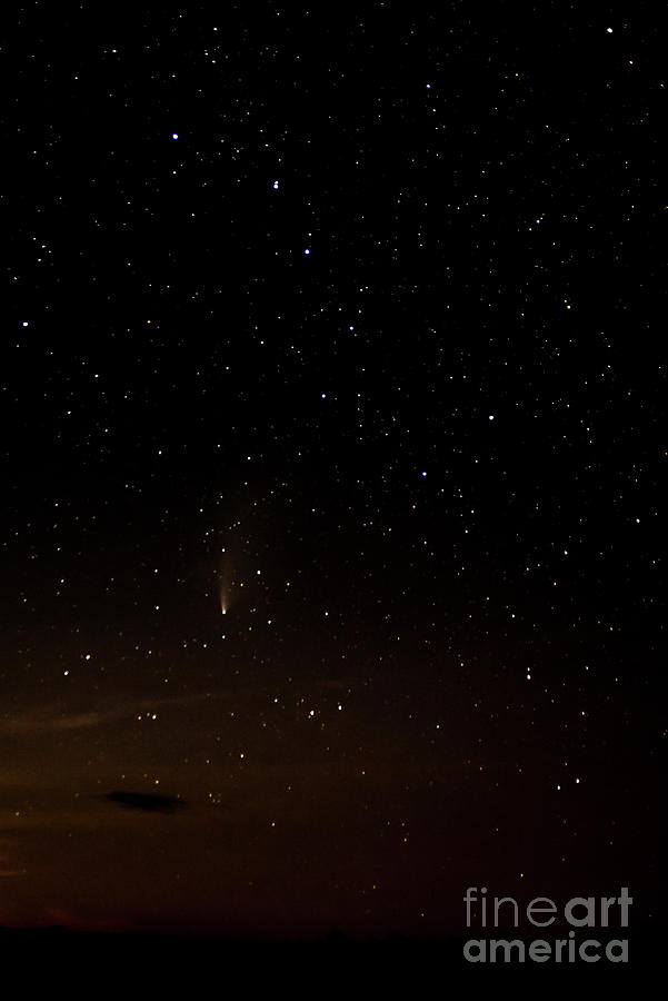 Comet Neowise In Ursa Major Photograph