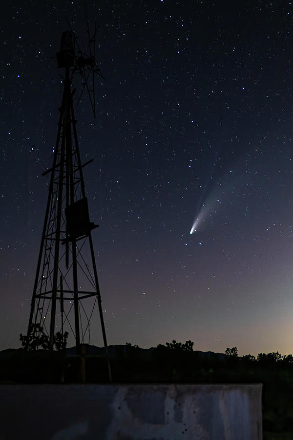 Comet Neowise II Photograph