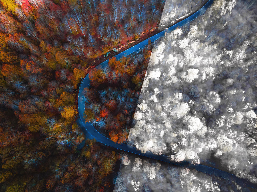 Comparison picture taken from drone with half autumn and half winter landscape. #1 Photograph by Artur Debat