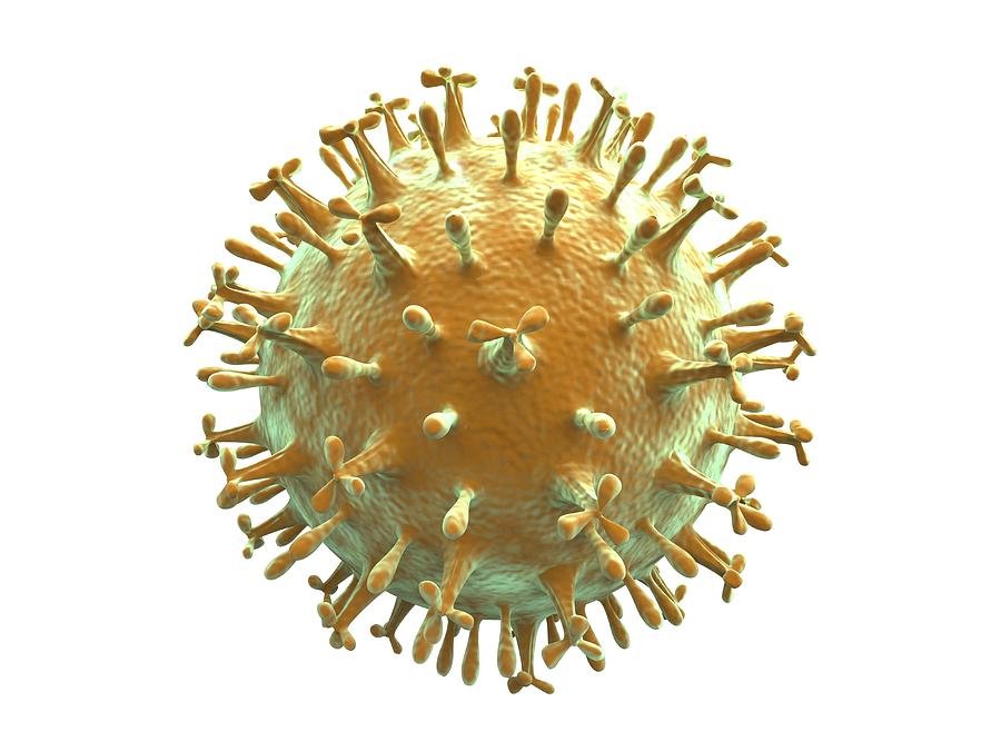 Computer artwork of a generic virus particle, depicting virus types like corona, bird flu, aids, influenza, swine flu and herpes. #1 Photograph by Pasieka